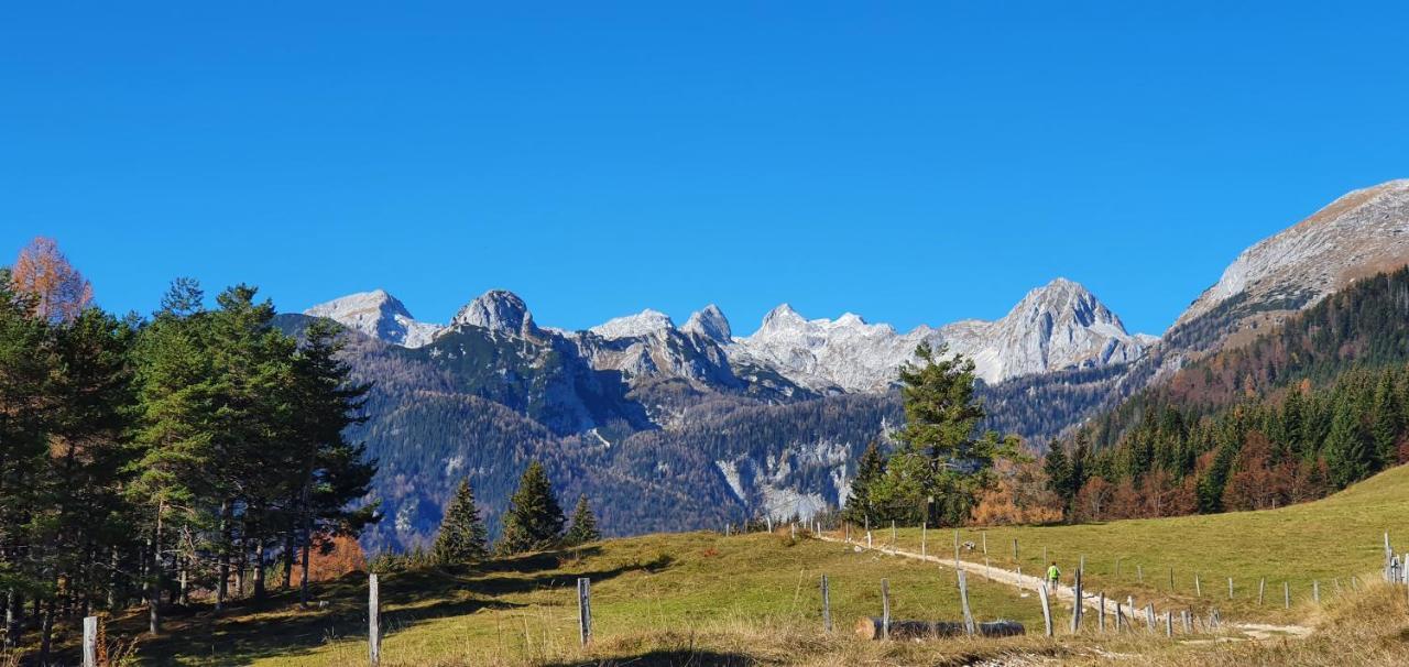 Prbajtnjeko Villa Bohinj ภายนอก รูปภาพ